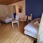 Les Vieux Acacias 호텔 2*