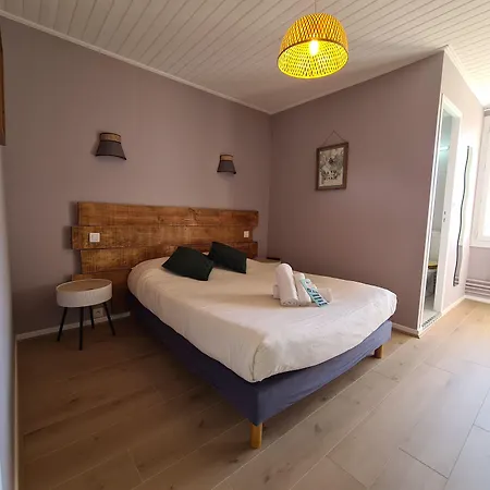 Les Vieux Acacias מלון Queyrac