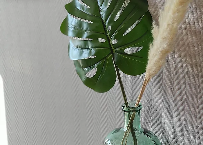 Hotel Les Vieux Acacias Queyrac